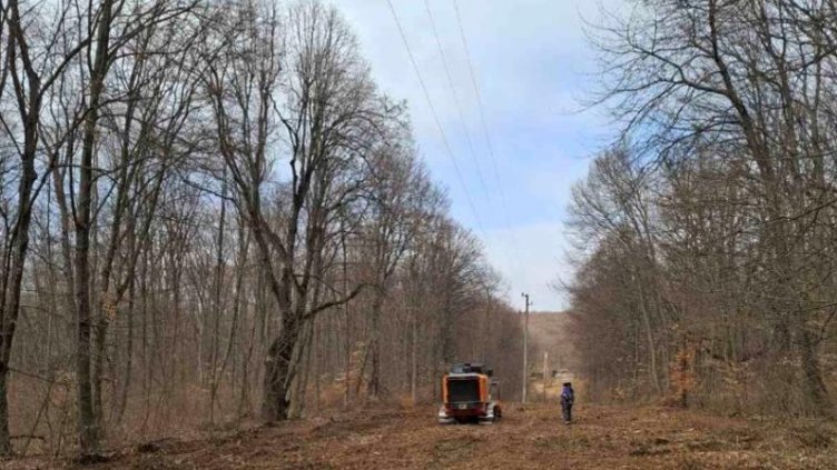 ЕРП Север предприе мащабна кампания за предотвратяване на аварии