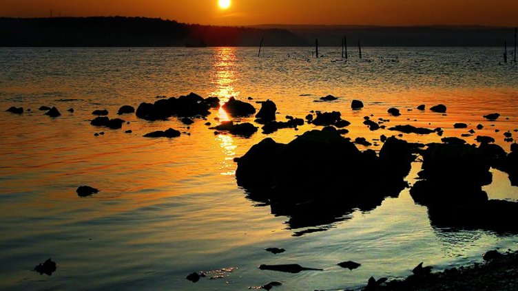 Снимка: Ели Маринова