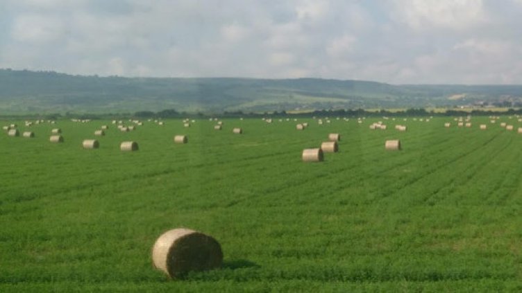 ЕК с амбициозна пътна карта за бъдещето на селското стопанство и храните в Европа