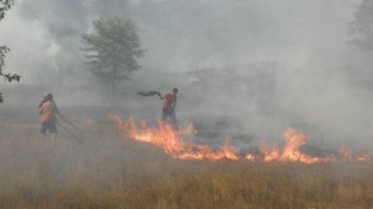 Над 100 декара гора гори в района на Габрово