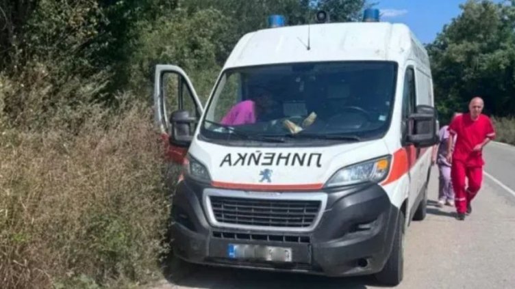 Стършел ужили мъж по пътя Дългопол &ndash; Варна, медици реагираха за минути