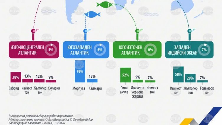 Черно и Средиземно море осигуряват 8% от улова на ЕС