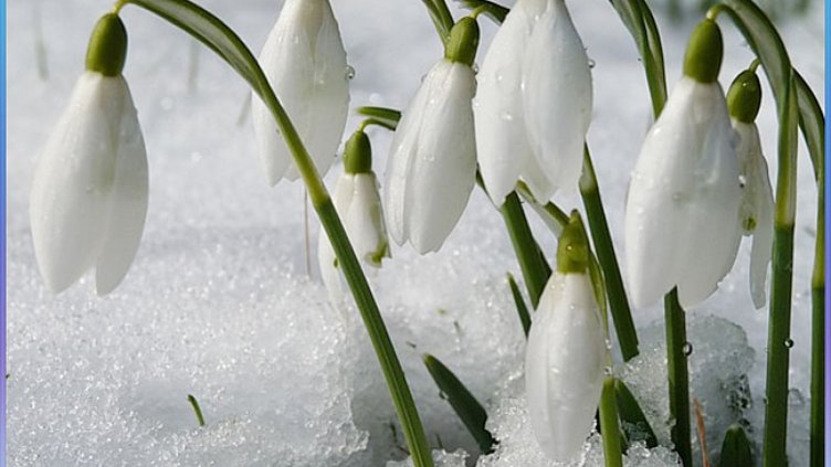 Облачно време в неделния ден