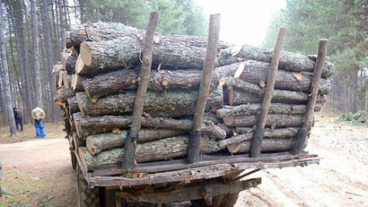 Заради крадени дърва горските иззеха автомобил и каруци