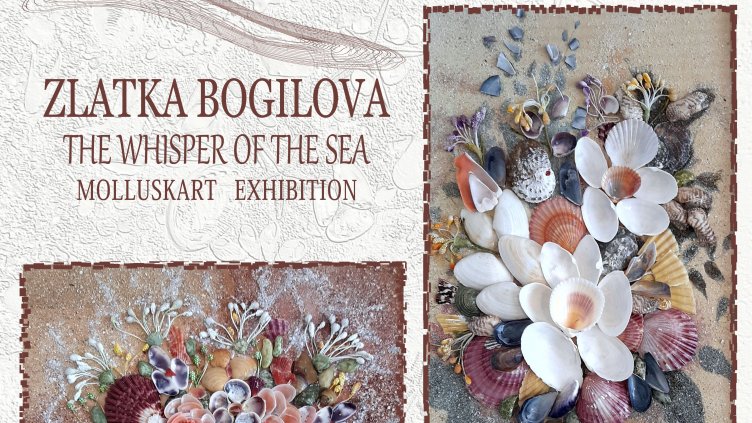 Изложба от миди редят в галерия "Графит"