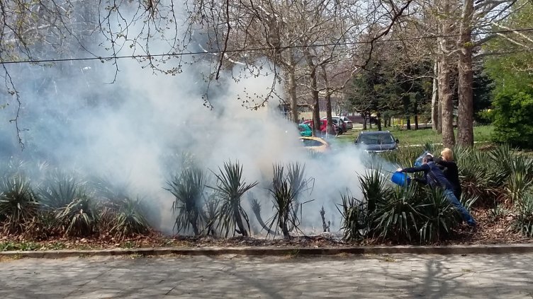 Пожар изпепели градинка в &quot;Чайка&quot; (СНИМКИ)