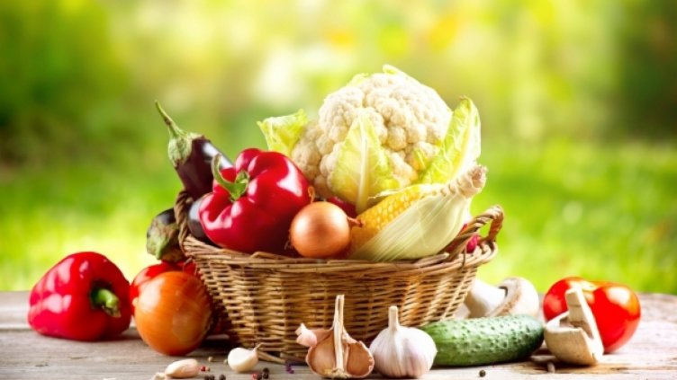 Ниските доходи спъват развитието на биоземеделието в България