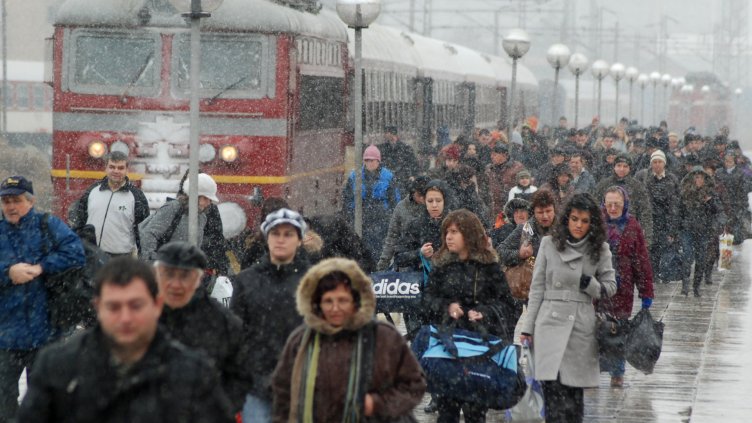 Снимка Пламен Гутинов