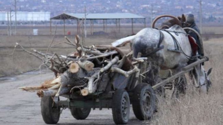 Задържаха 60-годишен да краде дърва в Долни чифлик