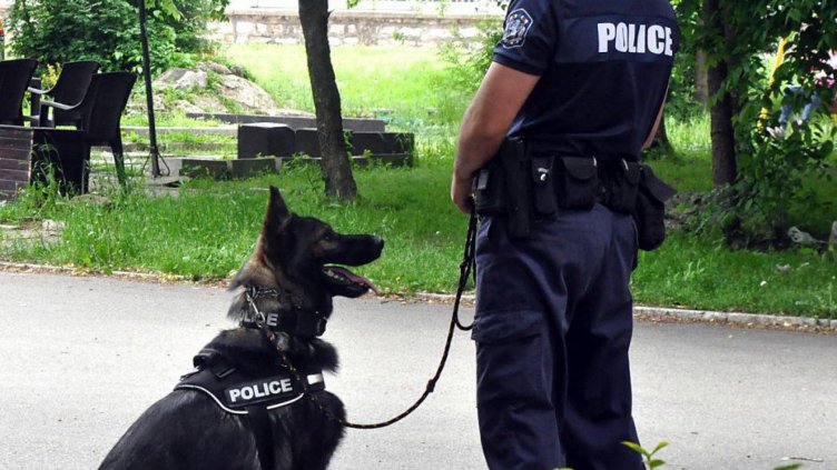 Спасиха възрастен мъж в планината