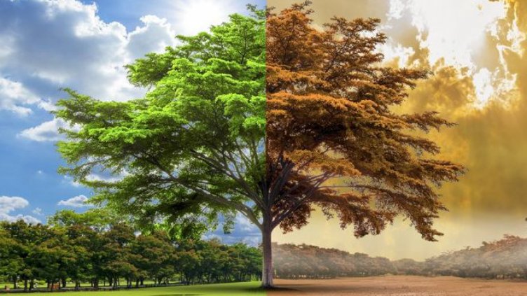 Варна сред градовете в страната с климатични аномалии