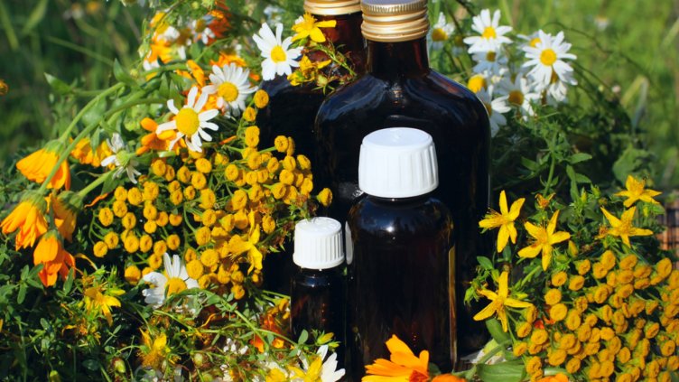 Пазарът на билки у нас надхвърля 15 млн. евро