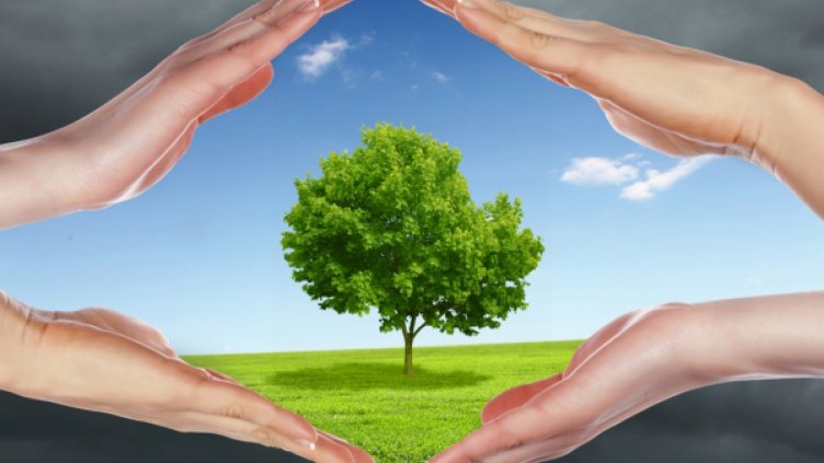 Отпадат 5 типа екологично насочени площи