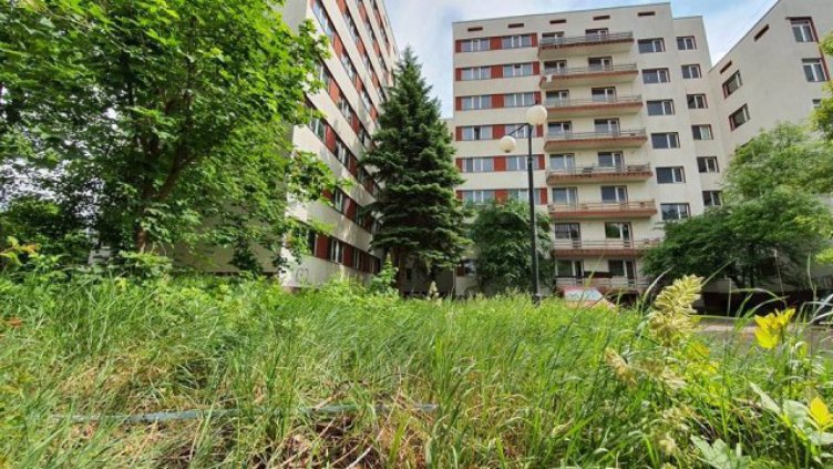 Снимка bgonair.bg