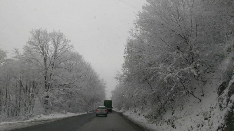 Снимка Илияна Митакова, архив