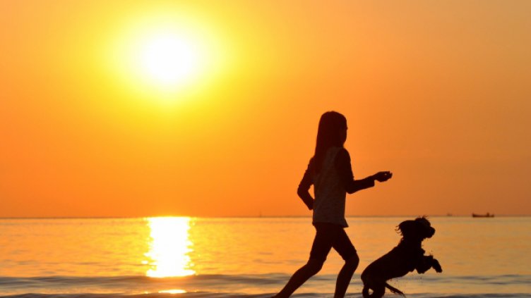 Снимка Пламен Гутинов, архив