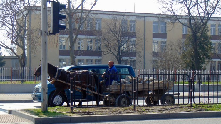 В Плевен конфискуват каруци