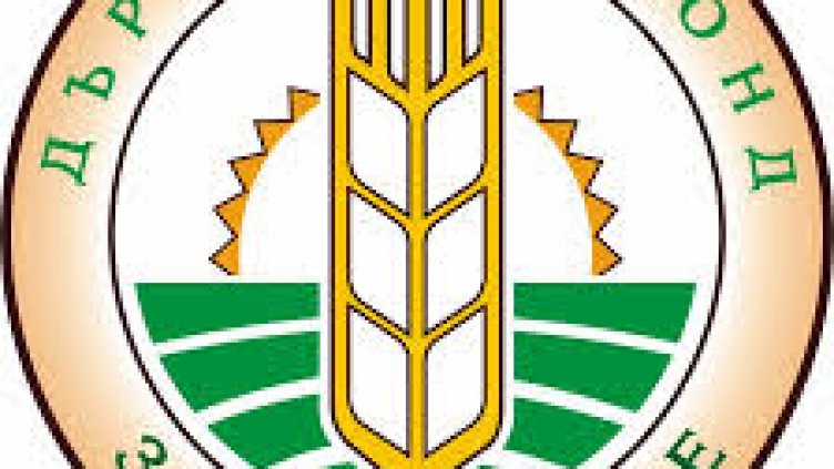 Шефовете на ДФЗ се разминаха с оставката