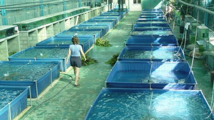 Искаме от Европа над 113 млн. евро за морско дело и рибарство