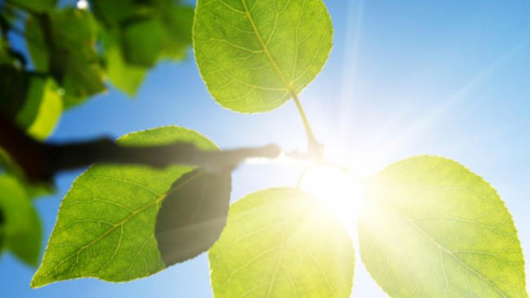 Очаква ни слънчев 14 юли