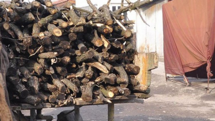 Автомобил и каруца с незаконна дървесина спипаха край Варна