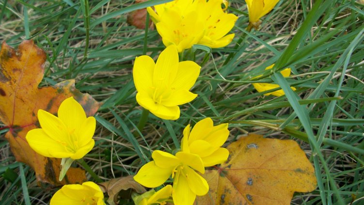 Облаци и слънце днес във Варна