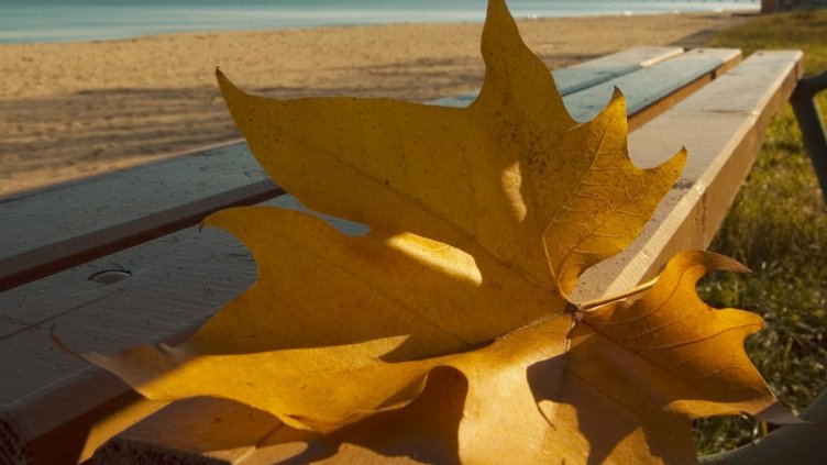 Днес по Черноморието ще е слънчево