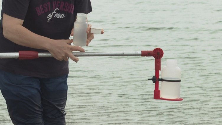 МОСВ: Морската вода е чиста