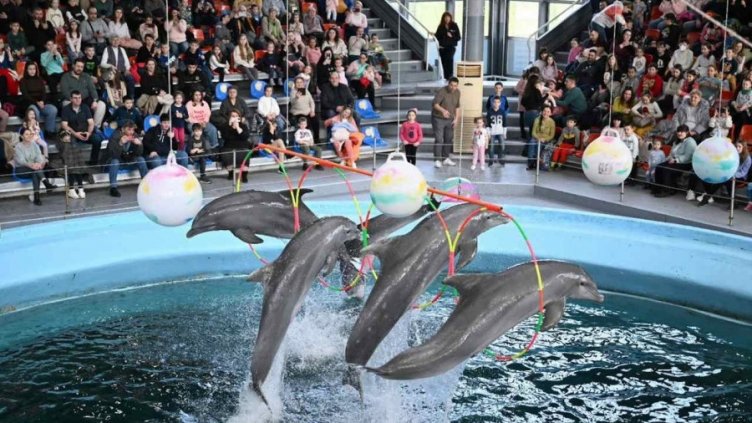Делфинариум Варна с безплатни представления за Деня на детето