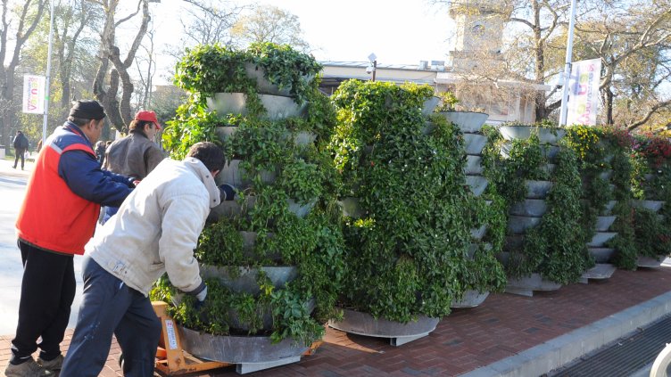 Прибират цветята от ларгото