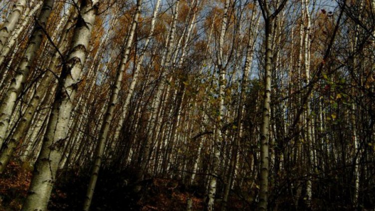 Сбъркана маркировка обърква туристите в планините