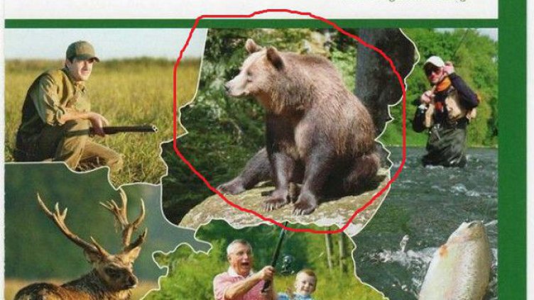 Елате у нас на лов за гризли