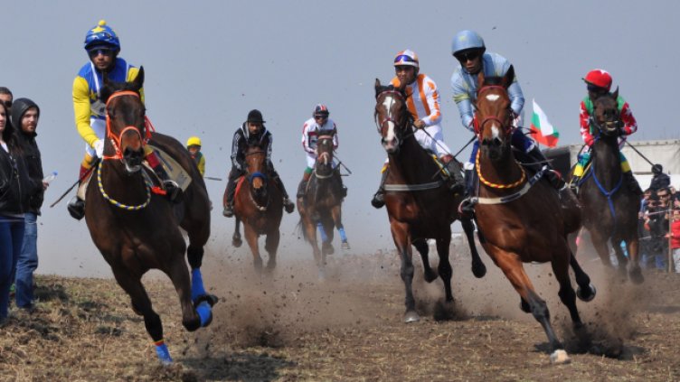 Снимка: Пламен Гутинов