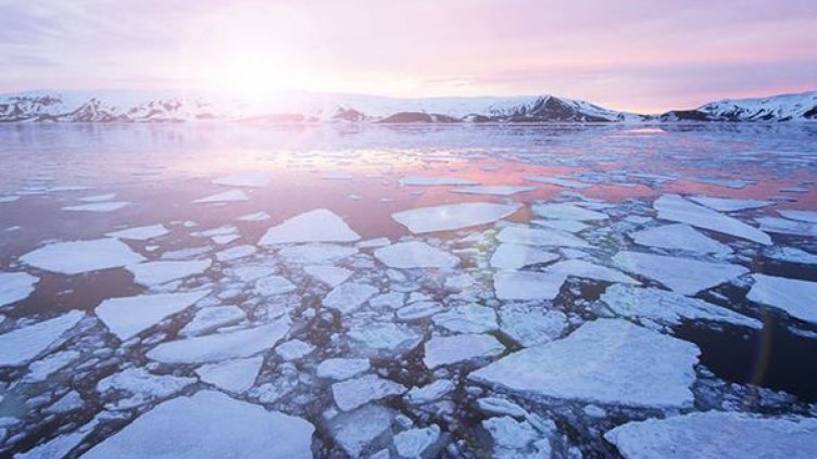 Плашеща статистика: Температурата на Антарктида стигна 18 градуса  