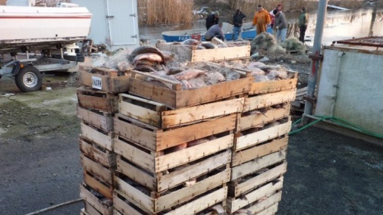 24 км мрежи конфискувани при проверки