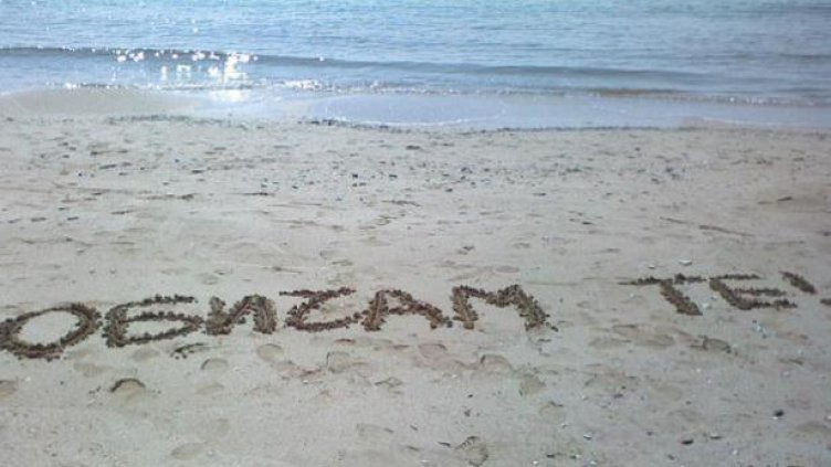 16 август e Световен ден на думите „Обичам те“