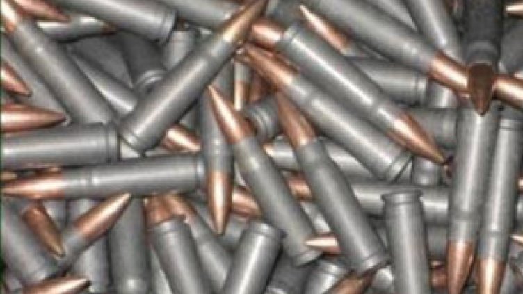 Англичанин складира боен арсенал и наркотици в с.Константиново