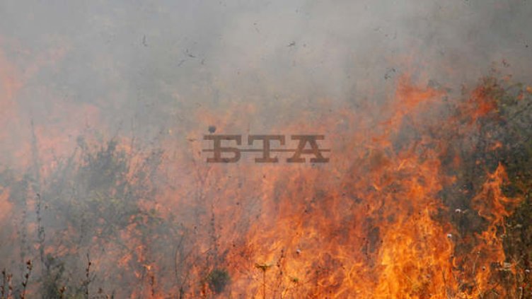 Пожар край българо-гръцката граница унищожи 15 дка