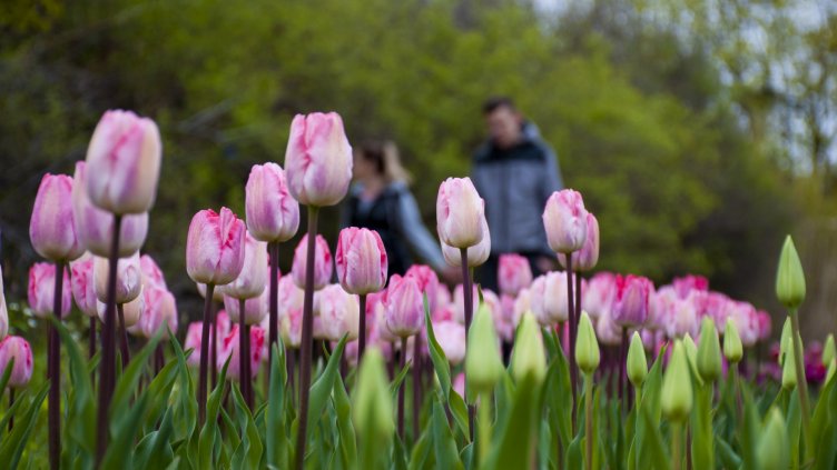 снимки: Ели Маринова