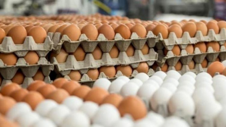 От БАБХ спряха над 2100 кг животински храни