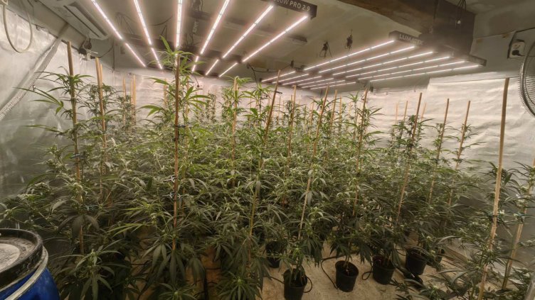 Снимка: Пресслужба АП-Варна