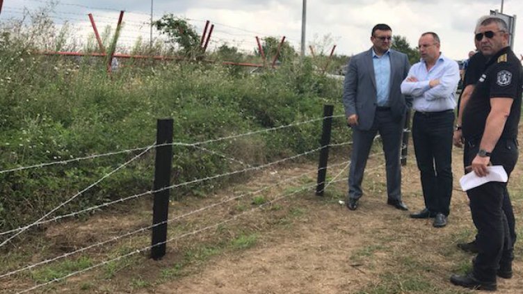 Започнаха оградата с Румъния срещу заразата от чума по свинете