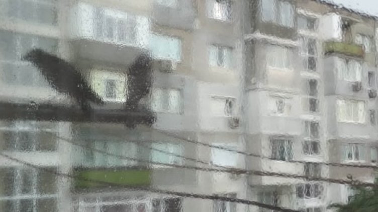 Дъждът идва към Варна