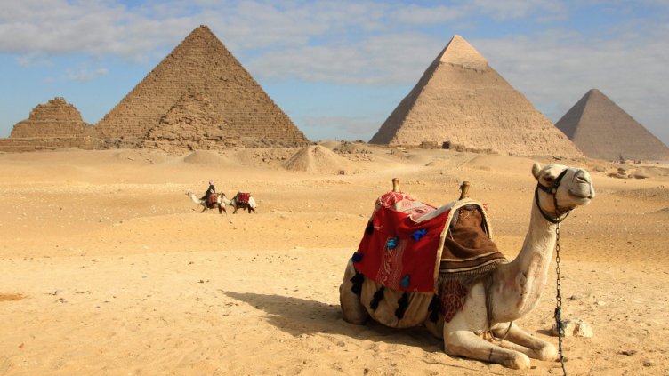 Екскурзоводи: В Египет е спокойно, има туристи от цял свят