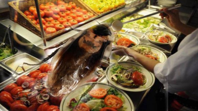 Витрините не са виртуални, а са си съвсем реални, хлебарки дефилират!