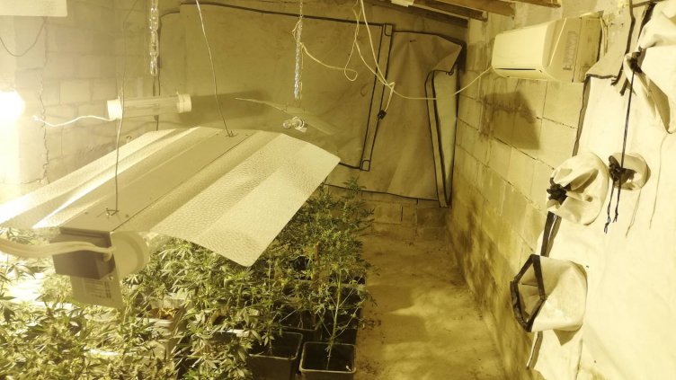 Разкриха поредна наркооранжерия във Варна