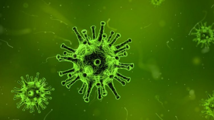 Вирусът на морбили атакува имунната защита по-бързо от СПИН