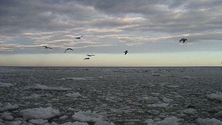 Повишената радиация в Европа не е опасна за хората