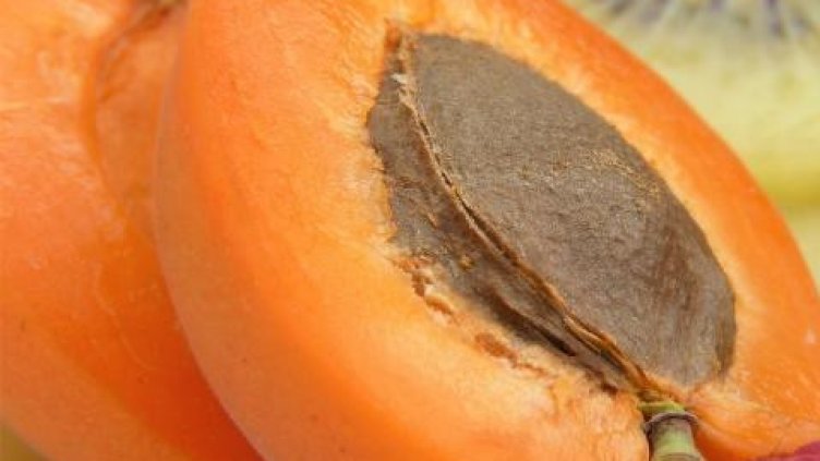 Над 10 кайсиеви ядки на ден могат да доведат до фатален край