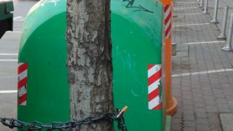 Във Варна мнозина съчетават карантината с пролетни ремонти